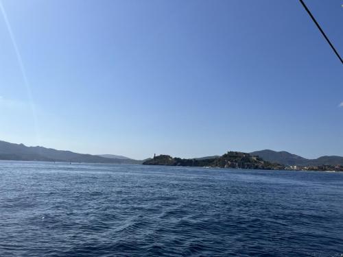 IMG_6139